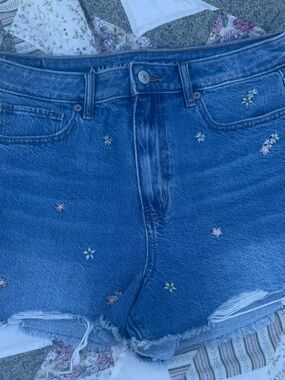 American Eagle Outfitters Blue Denim Jean Shorts with Embroidered Flowers